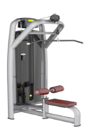 Pro Lat Pulldown TM508