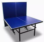 TABLE TENNIS INDOOR