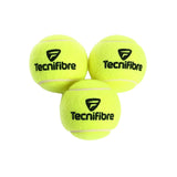 Tecnifibre Champion 3 Performance Pressurized Tennis Ball