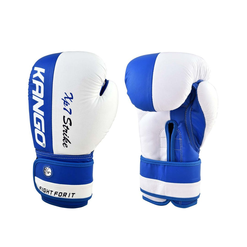 BOXING GLOVES