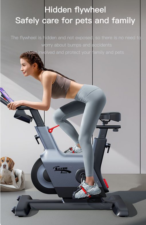 Magnetic Smart Spin Bike ITS250