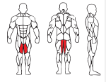 INNER THIGH ADDUCTOR