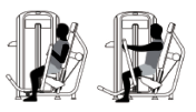 SEATED CHEST PRESS